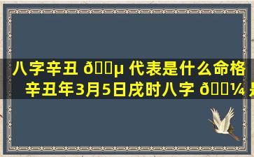 八字辛丑 🐵 代表是什么命格「辛丑年3月5日戌时八字 🌼 是什么」